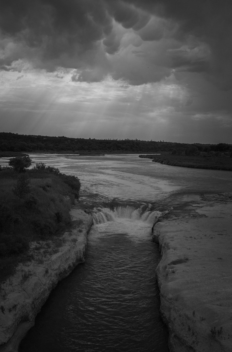 Emergence Magazine tweet media