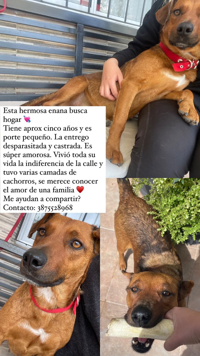vhdafne_'s tweet photo. Me ayudan a compartir? https://t.co/CIZhzN6oEu
