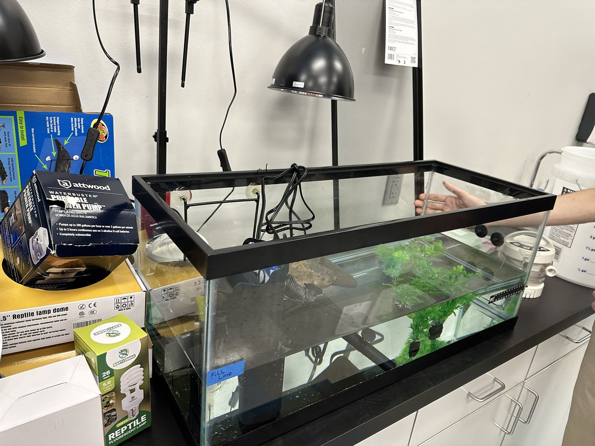 Trish Crowell, NBCT (@trishcrowell) on Twitter photo A productive morning at <a href="/NatlAquarium/">National Aquarium</a> picking up supplies the terrapin in the classroom program. Counting down until terrapin pickup on October 8th! A productive morning at <a href="/NatlAquarium/">National Aquarium</a> picking up supplies the terrapin in the classroom program. Counting down until terrapin pickup on October 8th!