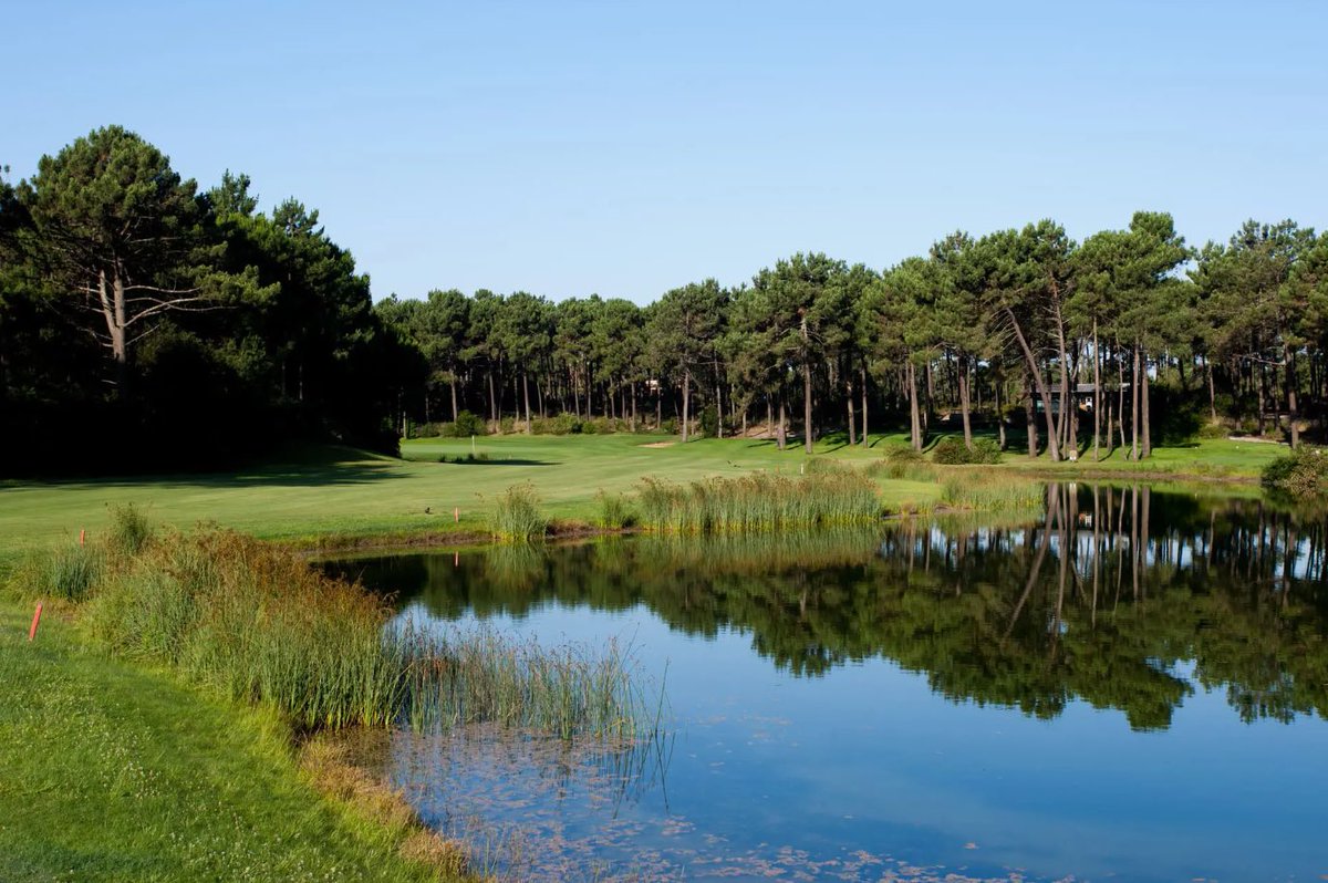 golfers_reviews's tweet photo. Golf review - ๐ต๐น Aroeira - Challenge
Tags: #golf #golfing #golfcourse #golflifeStyle #beautifulGolfcourses #golfgod #golffun #golfcourseOfTheDay #aroeiraChallenge #donaldSteel #golfPortugal #golfEurope
Played it? Rate it! https://t.co/LInY1QcJVR https://t.co/cLfbgnr1Tr