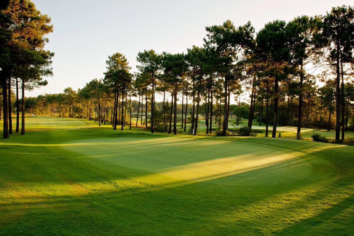 golfers_reviews's tweet photo. Golf review - ๐ต๐น Aroeira - Challenge
Tags: #golf #golfing #golfcourse #golflifeStyle #beautifulGolfcourses #golfgod #golffun #golfcourseOfTheDay #aroeiraChallenge #donaldSteel #golfPortugal #golfEurope
Played it? Rate it! https://t.co/LInY1QcJVR https://t.co/cLfbgnr1Tr