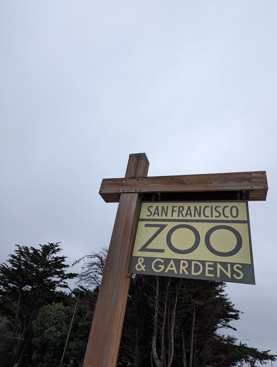 On a positive note in my new series of posts: Why I Love SF... @sfzoo membership and the ability to just roll out at whim to have lunch w kids and enjoy the wildlife even if @KarlTheFog is out. BTW Bring back the Elephants! And Tigres!