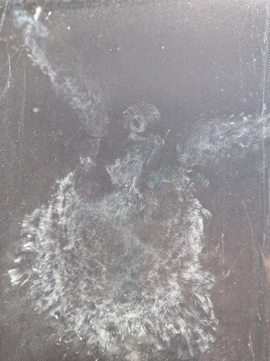 BrenGun12's tweet photo. @BBCCountryfile An amazing imprint of a pigeon who flew into our window pane yesterday, and then dropped to his death. https://t.co/AKPZtJg2wA