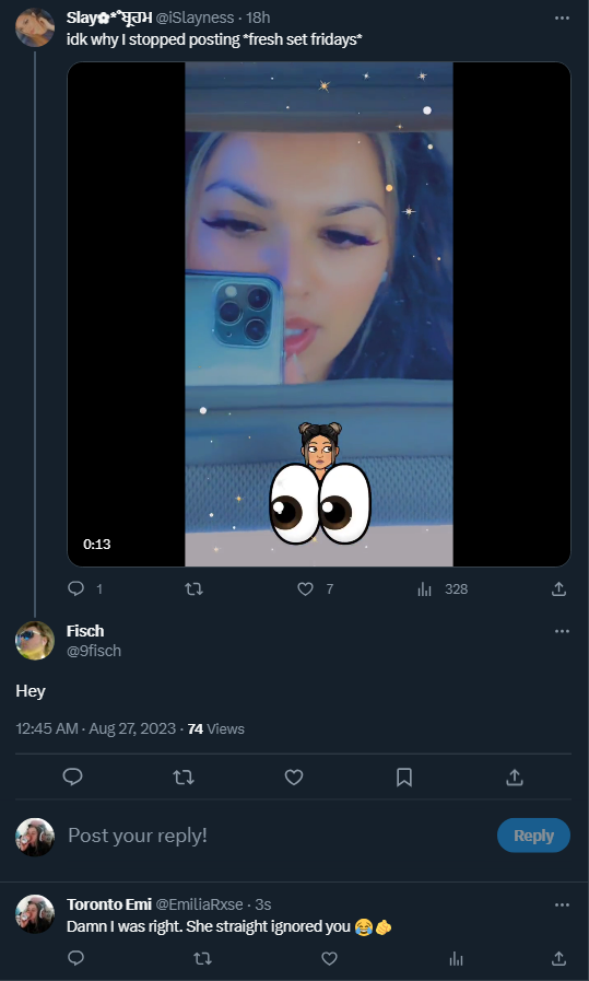 OMiT Emi tweet media