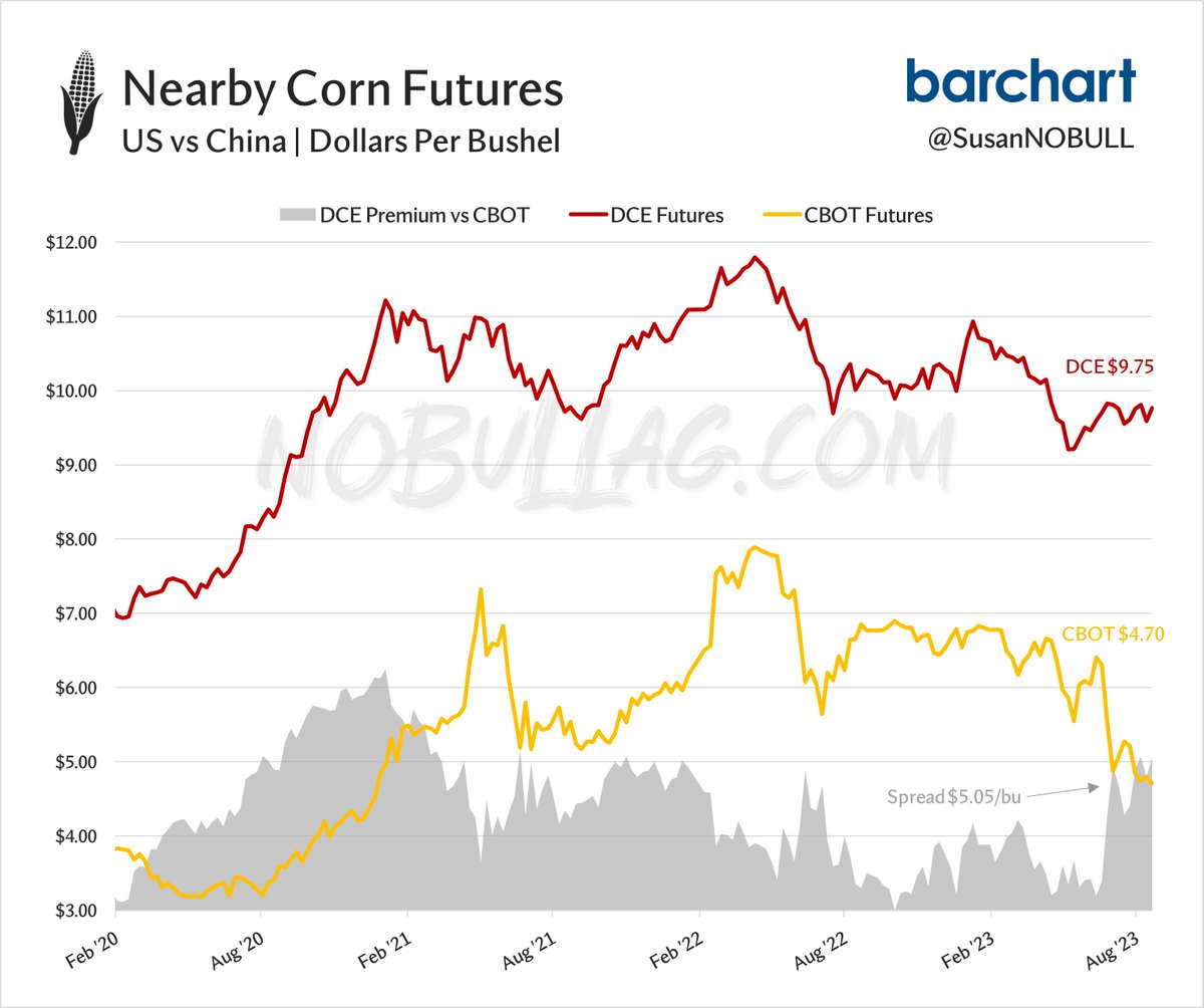 Susan Stroud tweet media