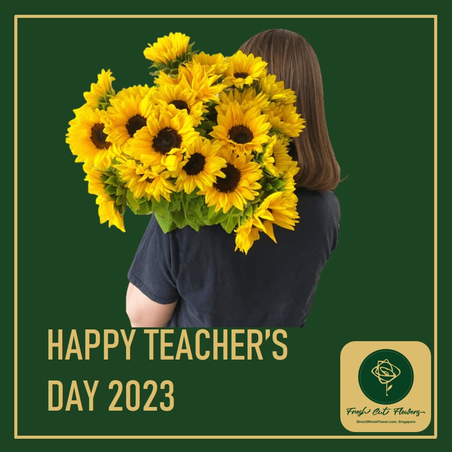 dwfgroup's tweet photo. Greet your teachers with teachers day flowers online in Singapore by DWF. Order beautiful flower for Teachers Day and get free delivery. 

Quote of the day:
“Love is the flower you’ve got to let grow.” - John Lennon https://t.co/RWPGB4Nqbo