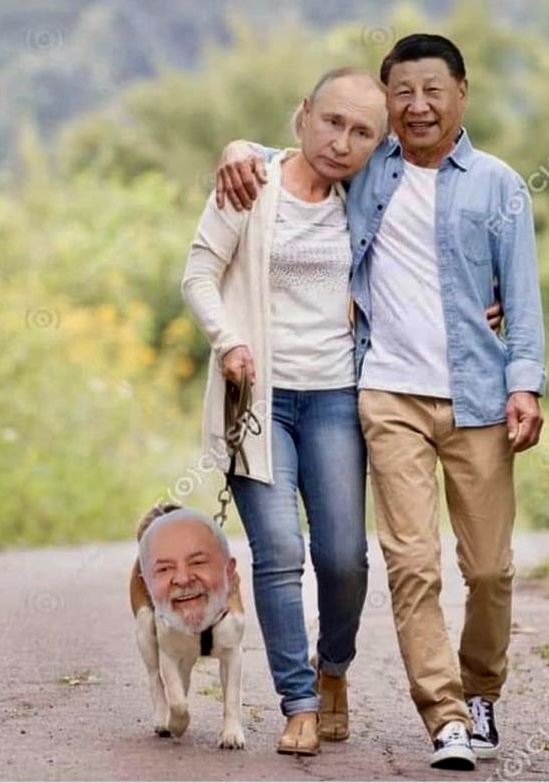 O BRICS em uma imagem.