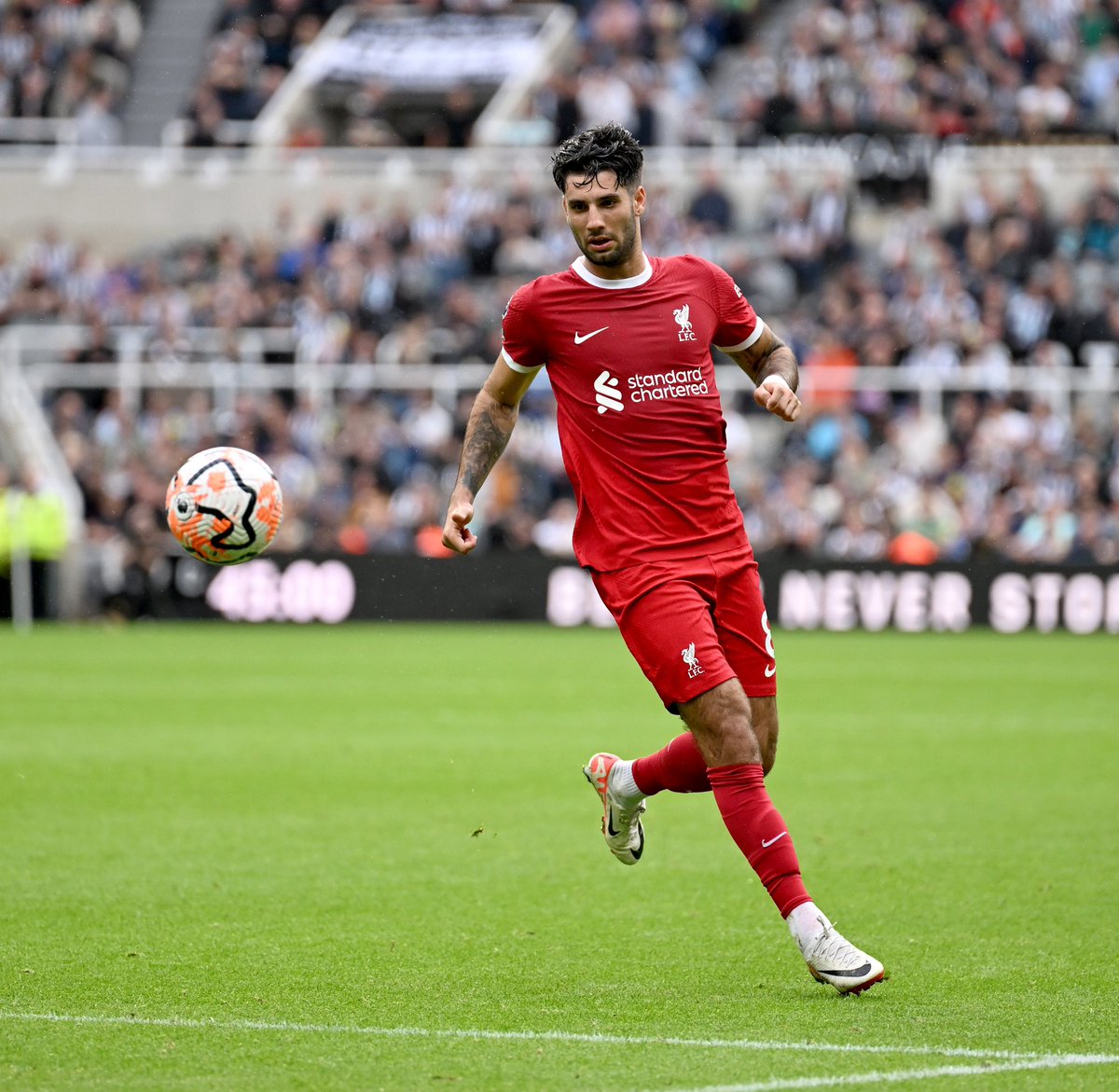 Bence Bocsák tweet media