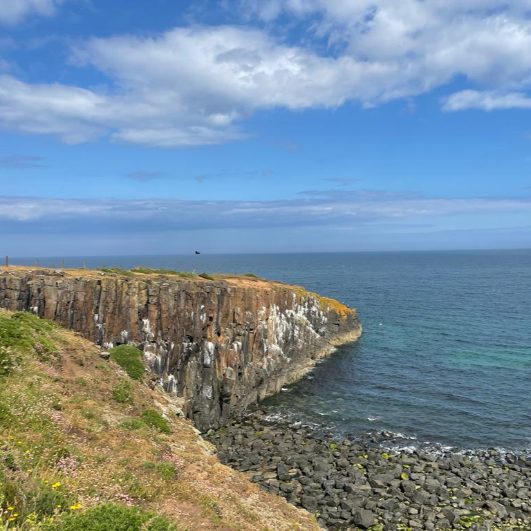 coast_care's tweet photo. Could you be a Northumberland Coast Path Warden?

Here's a peek of the kinds of places you could be helping keep an eye on - Stage 2 of the Path as walked by our wonderful volunteers.

For more info on being a Volunteer Warden, get in touch via the site: https://t.co/fCV0BbPxmp https://t.co/NfVoWqsdoh