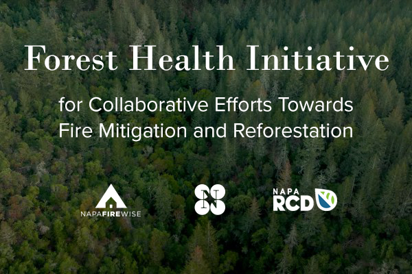 At last year's Vintage Celebration, we raised $2.1 million for our Forest Health Initiative. We can already see the impact that it's making on the #NapaValley community. Thank you to <a href="/NapaRCD/">Napa County RCD</a> and <a href="/NapaFirewise/">Napa Firewise</a> for making significant progress. Learn more: bit.ly/3KZW7sl.