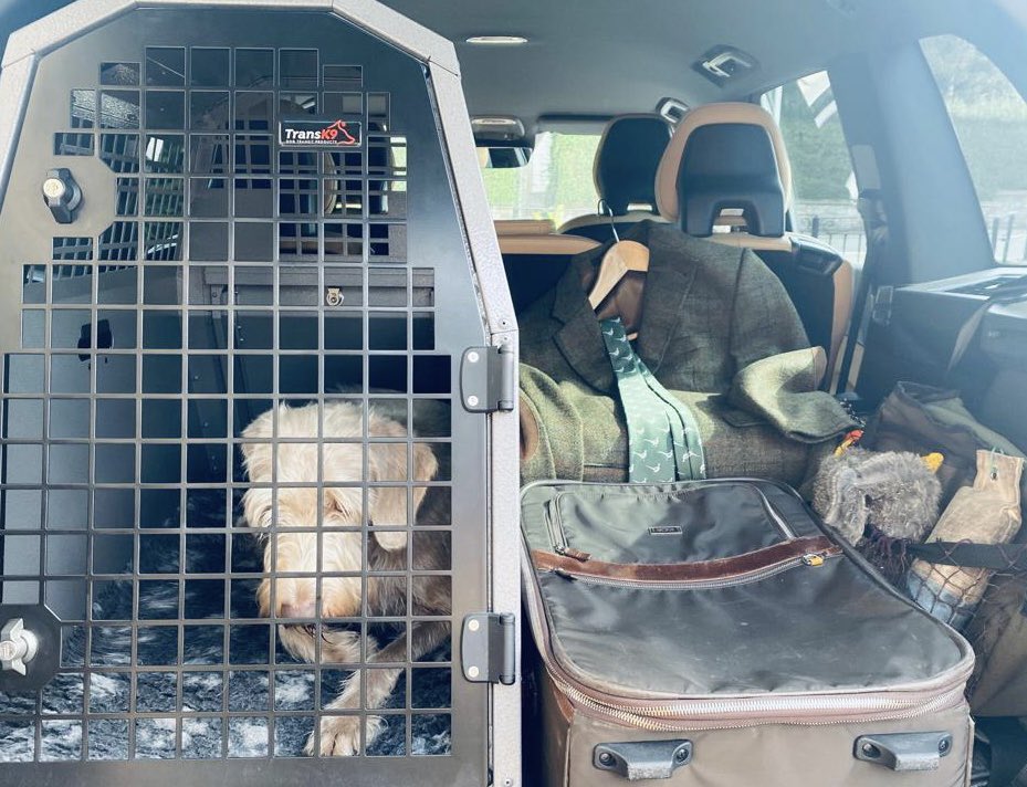 wrainamere's tweet photo. All set for our road trip! First stop, Driffield Champ. Dog Show. Next, back up North for 2 days hunting at The Kennel Club’s Emblehope &amp; Burngrange Estate. Then, down South for 2 days on the grouse moors in N. Yorkshire. Finally, back home to 🏴󠁧󠁢󠁳󠁣󠁴󠁿! 🐾 #SlovakianRoughHairedPointer https://t.co/ixYjY0Kh2y