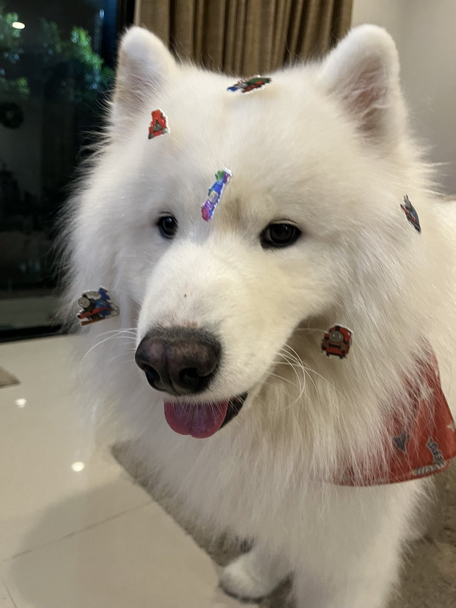 สติ๊กเกอร์ไม่ติดขนพอร์ชๆเลย