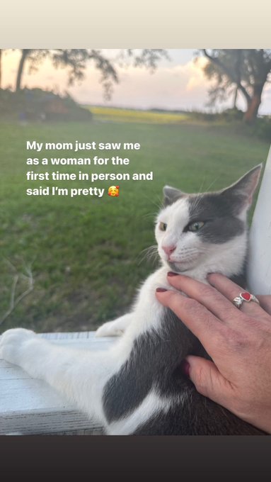 I just saw my fam down south for the first time since I transitioned.  My brother got a fancy new cat