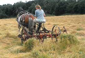 Hewdotcom's tweet image. Elon, you are not alone. We can all spend $30 - odd Billion on a brilliant platform if we have the money, the guts and the support. I'm right behind you, ready to overtake!😀 mytrafficpowerline.com/HEWline