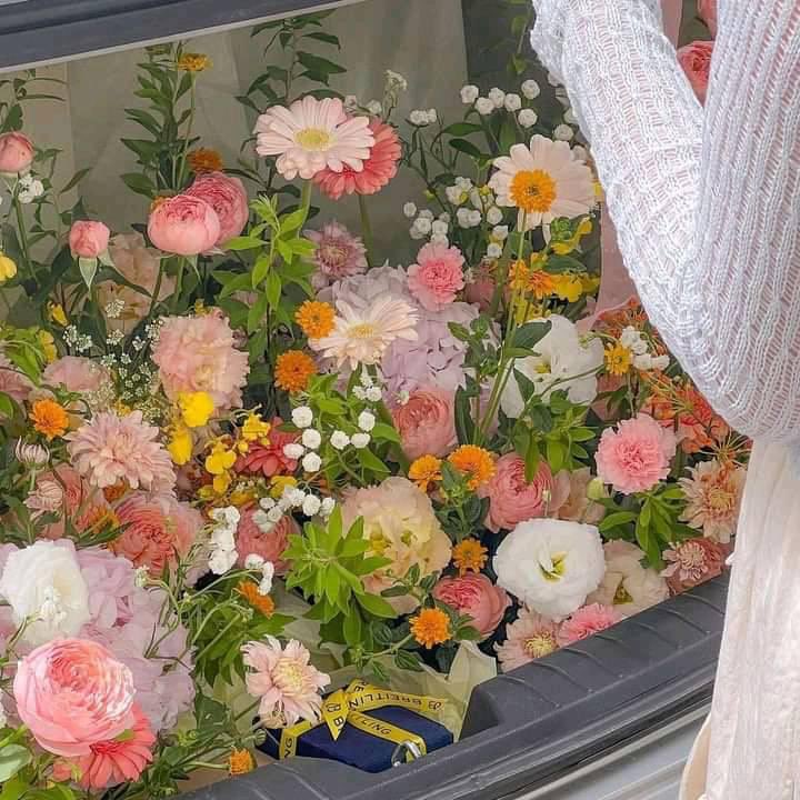 pretty flowers