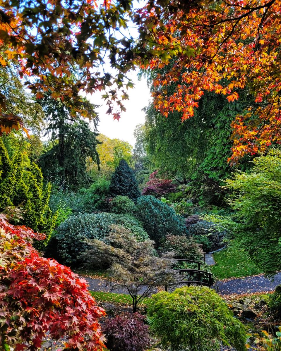 Oh, #Aberdeen! 😍 Who's looking forward to the return of the autumn colours?! 🍂

📍 Johnston Gardens, @visitabdn 📷 IG/wanderingaberdonian #BeautifulABDN