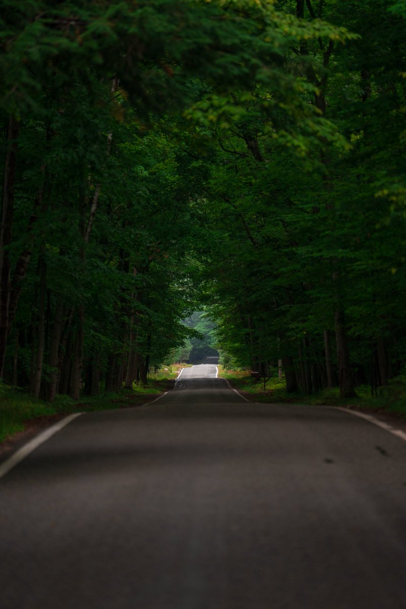 Eric Wortman tweet media