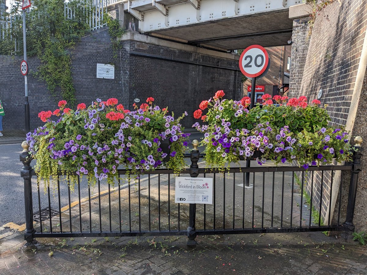 Wickford In Bloom tweet media