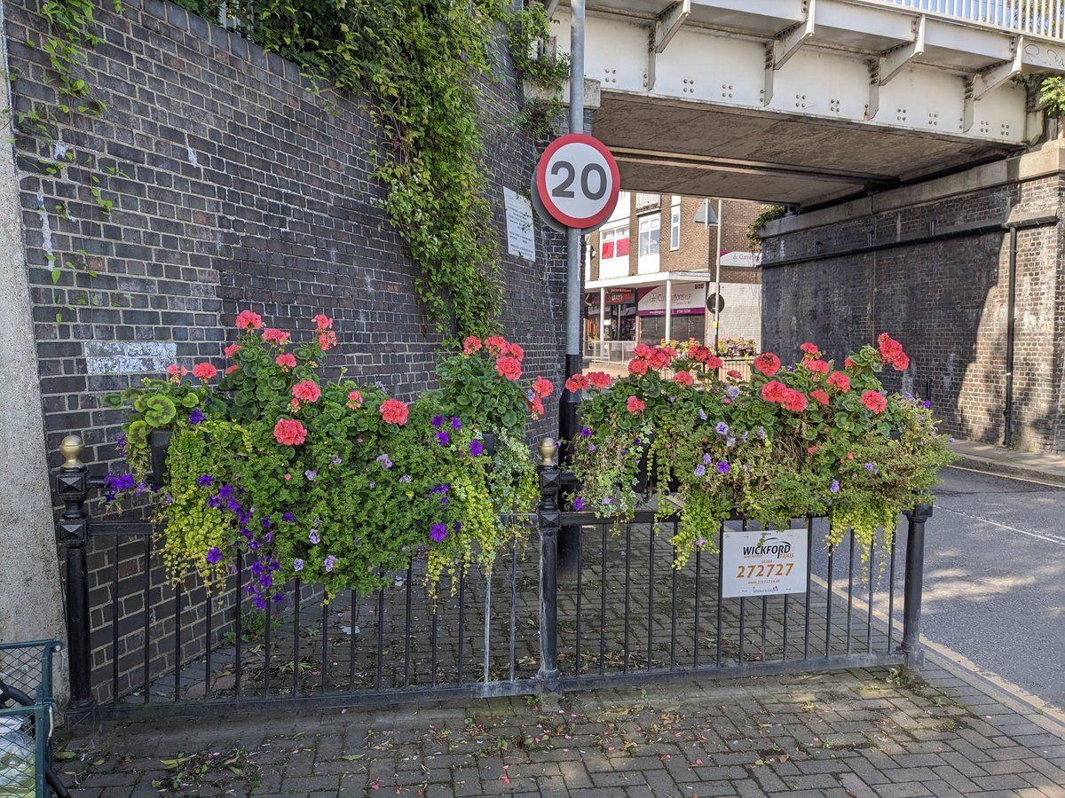 Wickford In Bloom tweet media