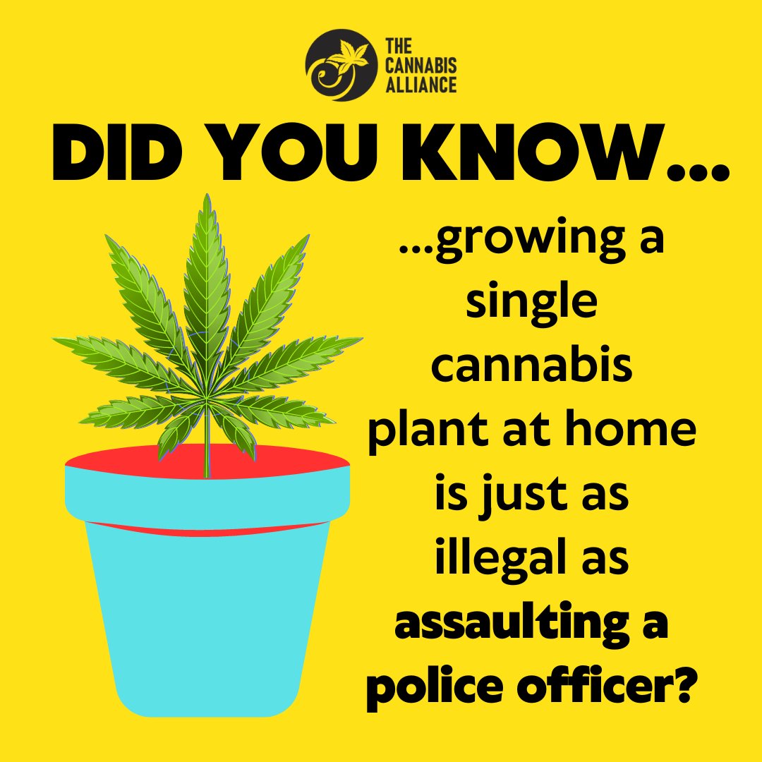 See you soon!  A plant should not be a felony!
thecannabisalliance.us/marchforhomegr…
