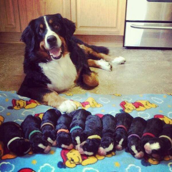 She is so proud of her Babies! Givе уour ❤️ to thiѕ аwеѕomе fаmilу!