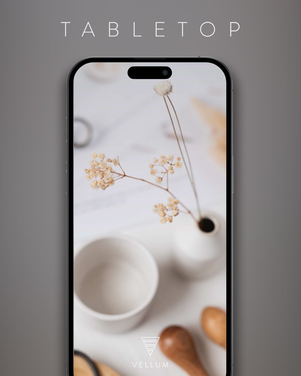 Vellum App tweet media