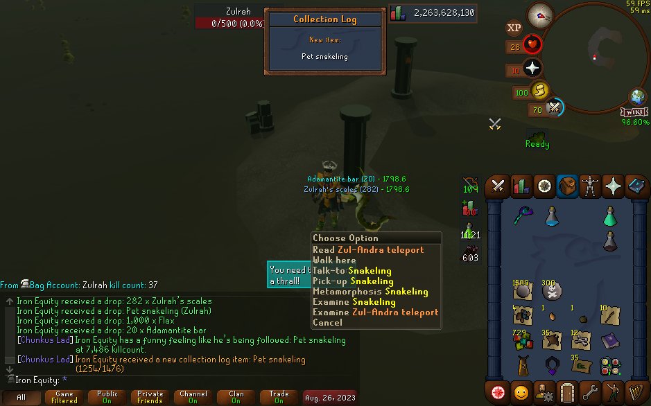 JackRS__'s tweet photo. Pet #36 🙂 467 Hard Caskets ready for tomorrow night as well to celebrate the snakeling. https://t.co/ytJv9WlLSz