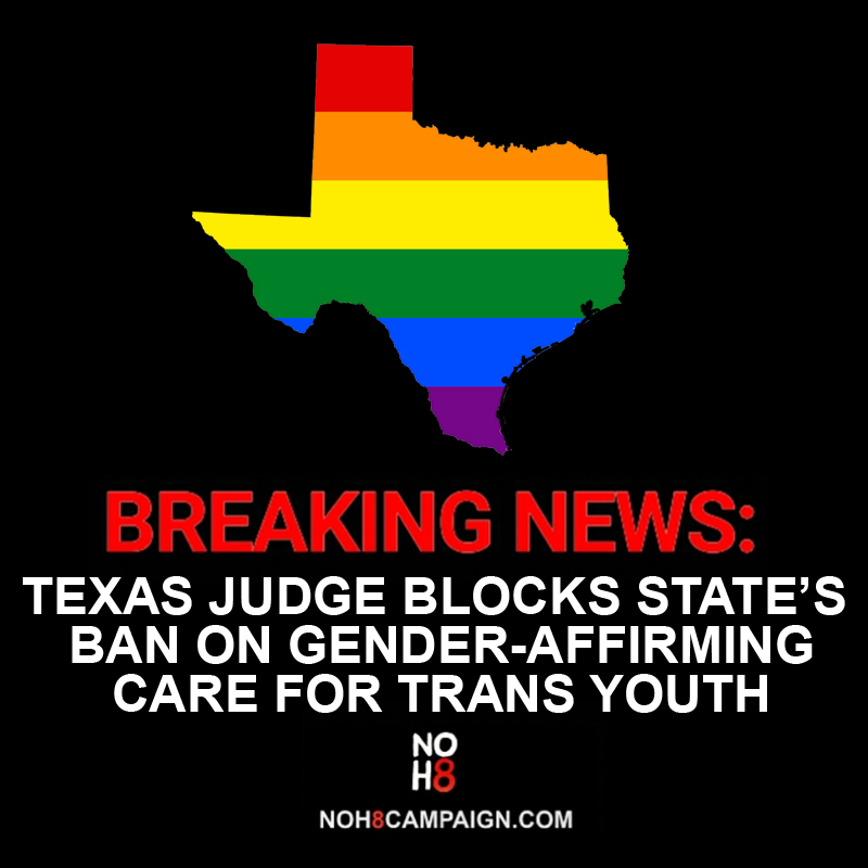 NOH8 Campaign tweet media