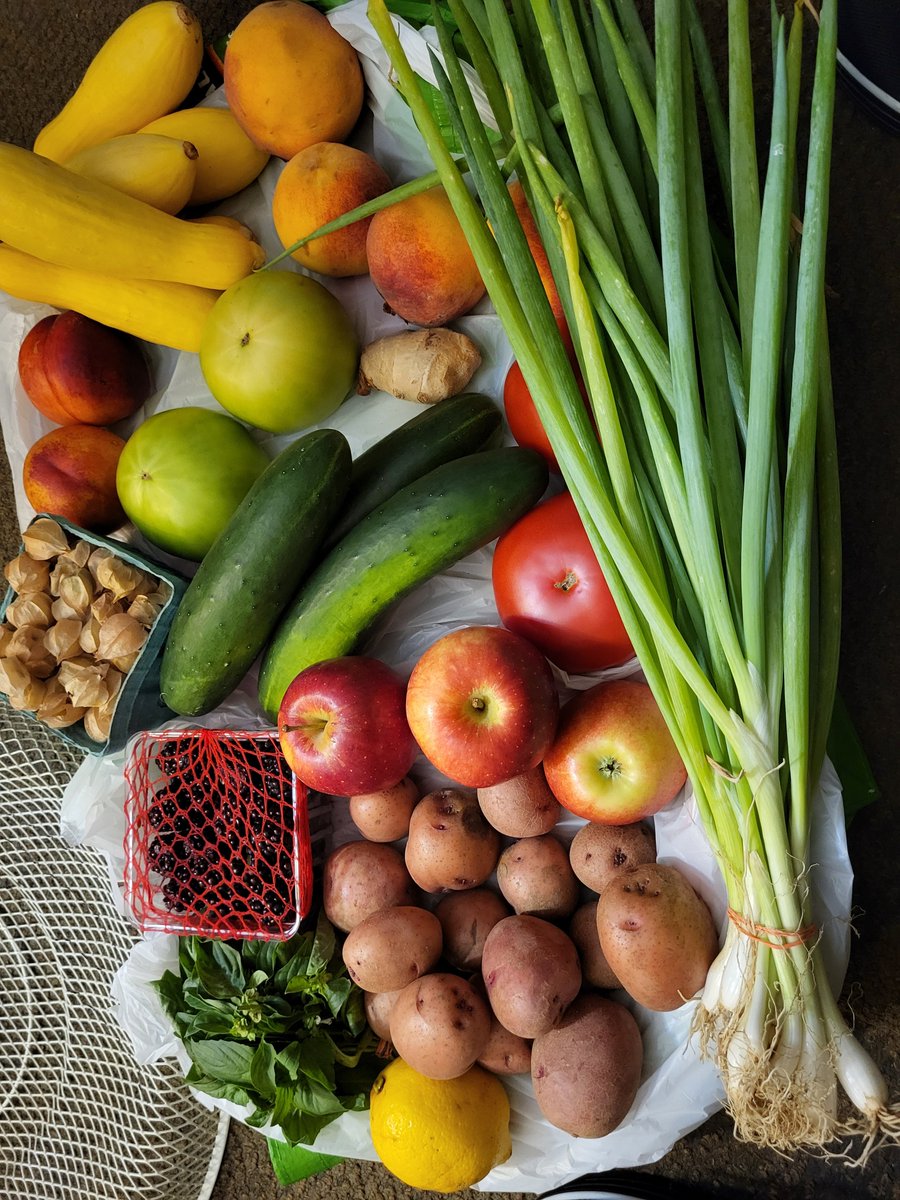spottygp's tweet photo. Look at my haul from the Farmer's Market this morning!
#Basil ⁰#Blackberries #Nectarines #Gooseberries #GreenTomatoes
#YellowSquash #Lemon #Ginger
#RedPotatoes #GalaApples #Peaches #Cucumbers #Tomatoes & #Scallion https://t.co/0NdR6dTNfF