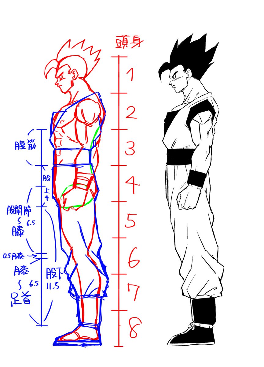 @kouji200108250 @Hahihuheguy 自分が描くときのイメージは画像1みたいな感じです
頭身の考え方としては、鳥山先生のデフォルメ力の高さから漫画内では自在に頭身が変わりますが、それは漫画独自のコマ内での表現で、やはり一枚絵で考えると高頭身がいいのではと思います
ただ集合絵、複数人絵の場合はバランスによりけりです 