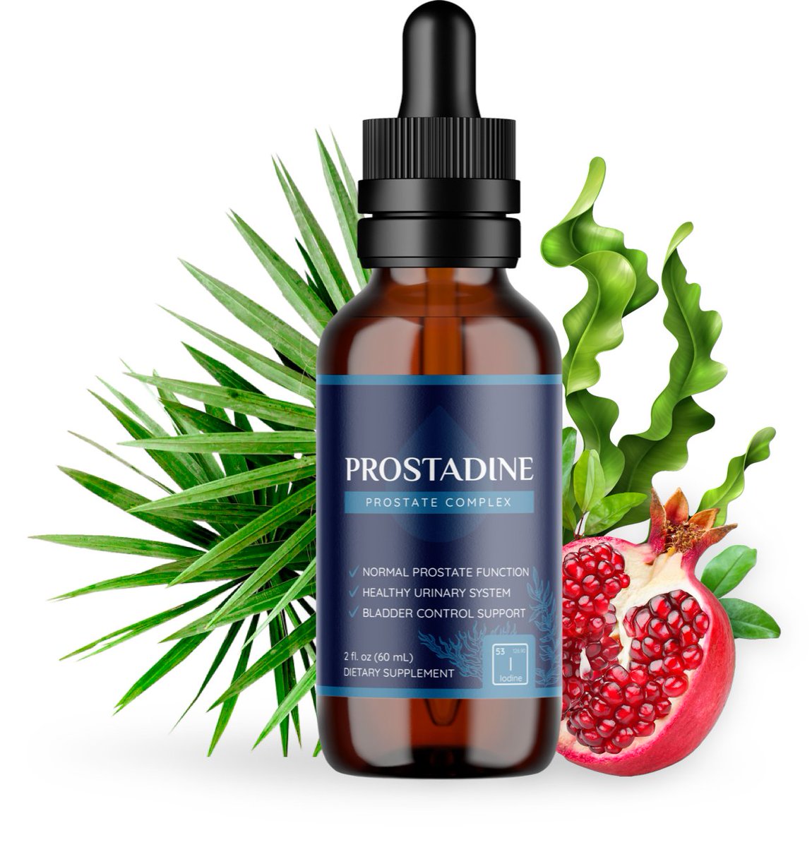 A Comprehensive Look at This Revolutionary Product
#Prostatecancer #Prostateproblems
#https://nexus4wellnesstech.com/a-comprehensive-look-at-this-revolutionary-product/