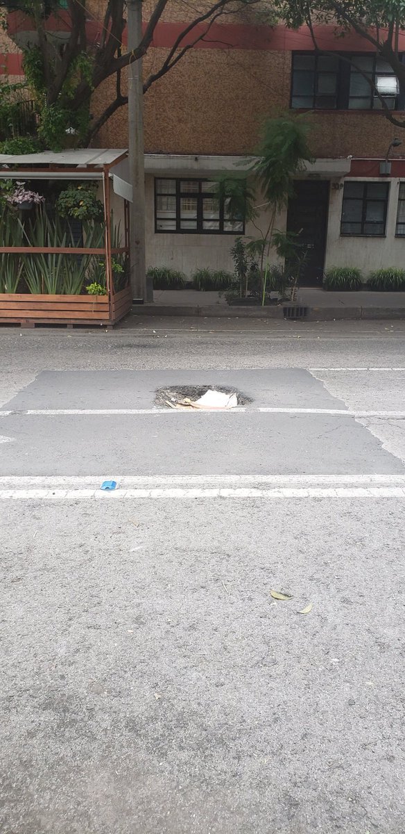 Del Valle/ Napoles Vecinos tweet media