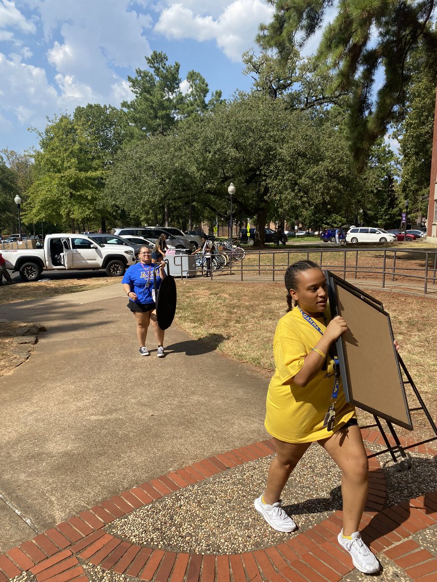 SFA Poodles tweet media