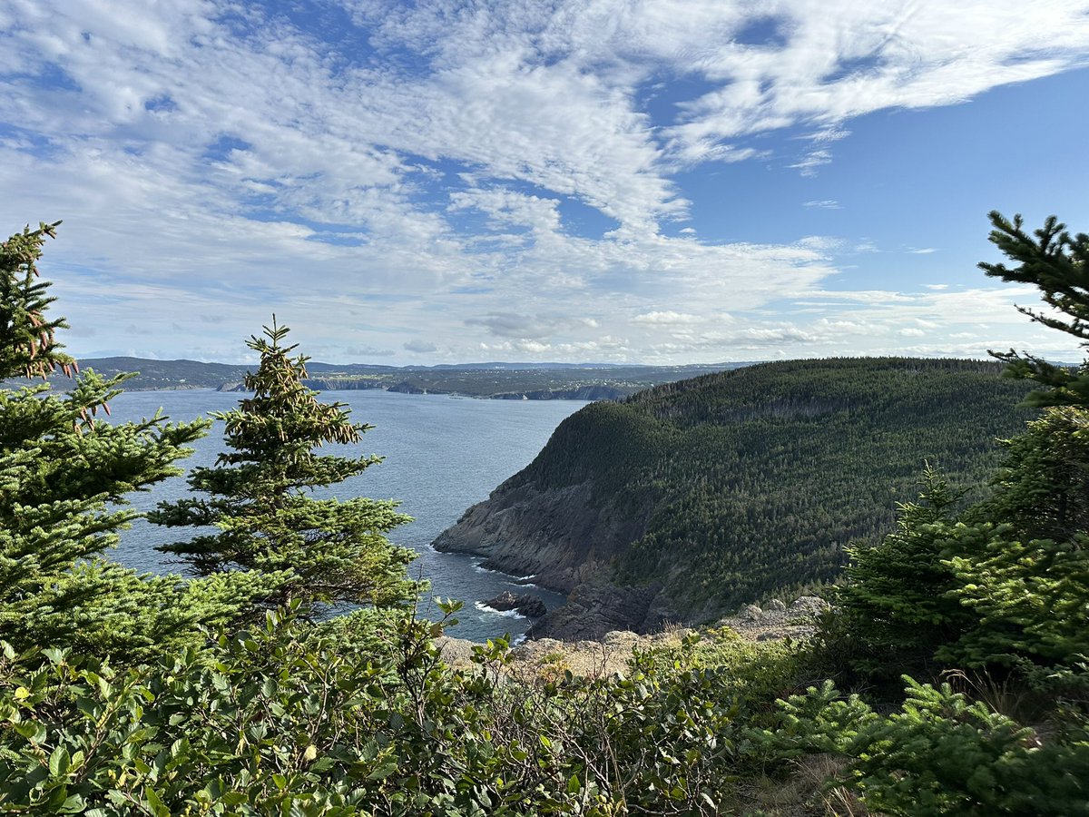 justbegemma's tweet photo. Chronic pain aside, hit the trails hardcore today. Torbay to Flatrock and back. Getting ready for Rome. More soon! #RoadToRome #HopeWalksOn #MarchToZero https://t.co/EQbHqqdg1z