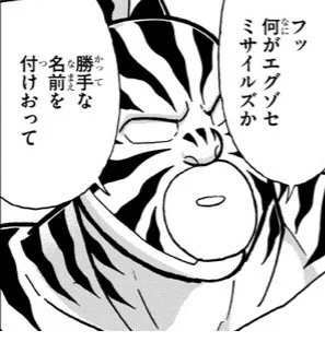 勝手に来て勝手にタッグ組んで勝手にタッグ名まで付けてもう笑うしかないゼブラ
