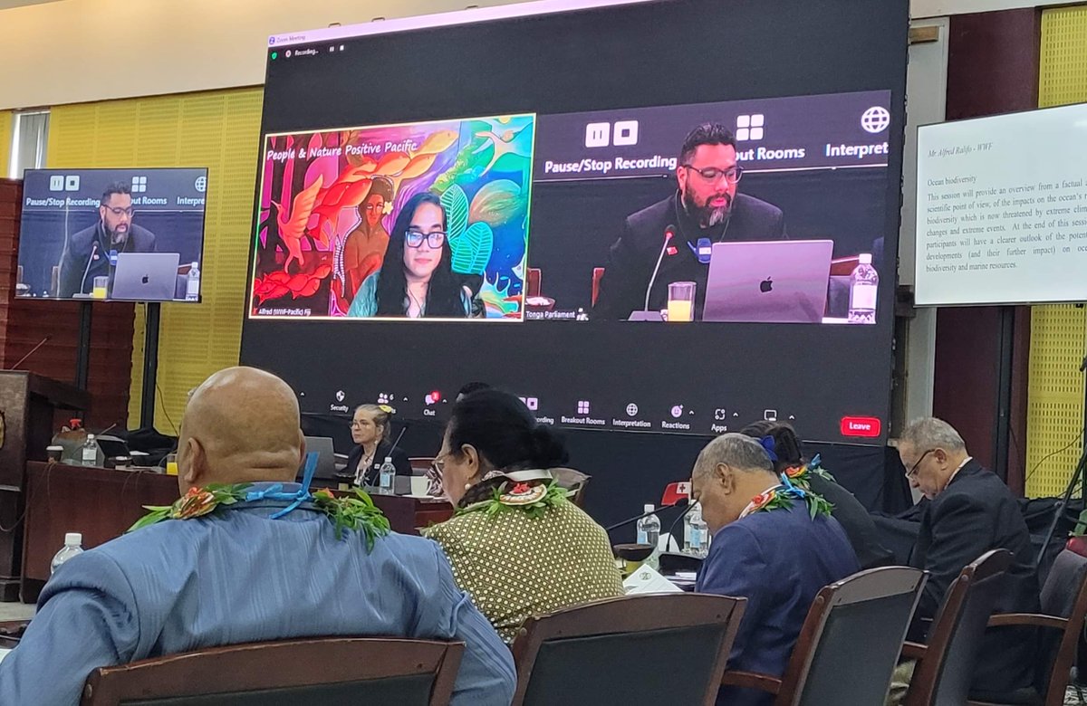 wwfpacific's tweet photo. WWF-Pacific recently contributed insights at the 3rd Pacific Islands Parliaments Group (PIPG) Conference in #Tonga, highlighting disaster management's role in biodiversity protection.

With 60+ delegates, incl. Pacific MPs &amp; officials, the PIPG endorsed the Fangatapu Declaration https://t.co/n6dJjtKAK2
