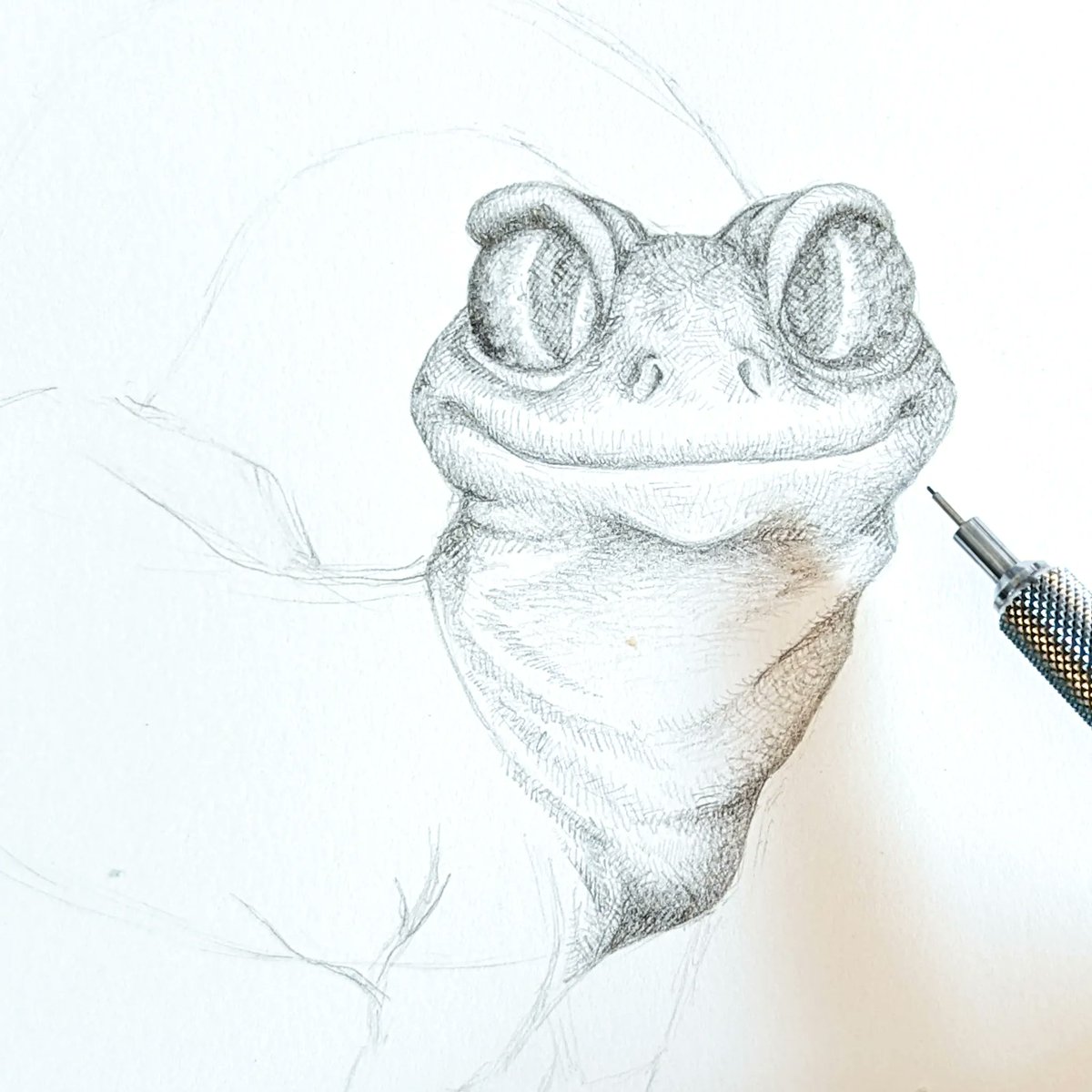 calizhayes's tweet photo. Doing a little experimental study of this doofy gecko.

#artistsontwitter #wipart #artstudy #lizardart #lizardsoftwitter https://t.co/ygapOO0t3U