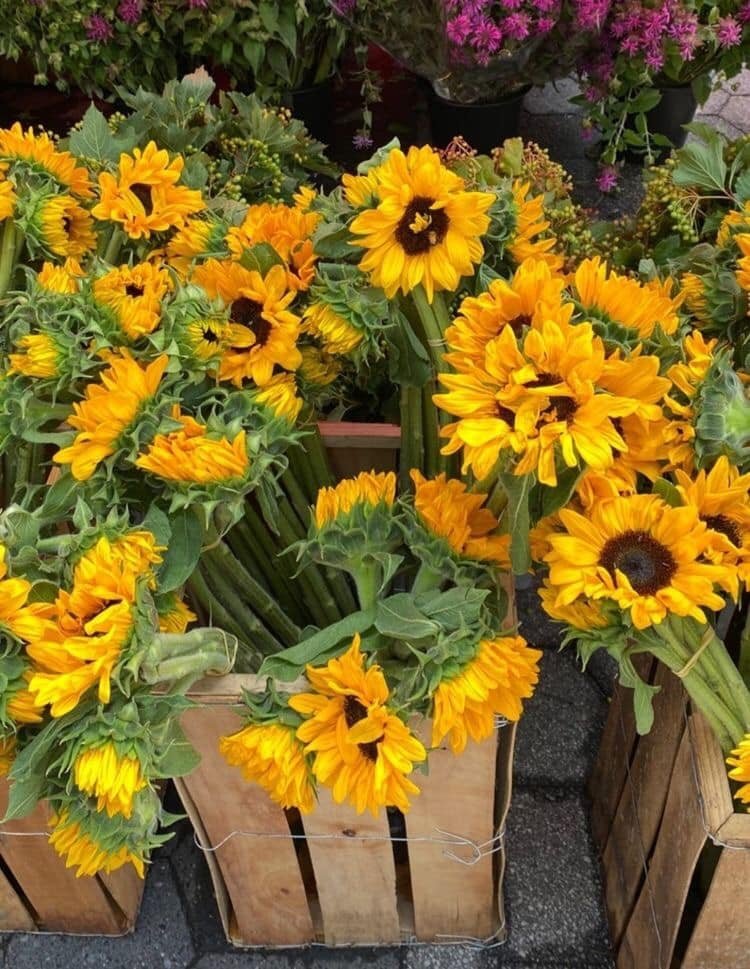 poetical photos. (@poeticalphotos) on Twitter photo 