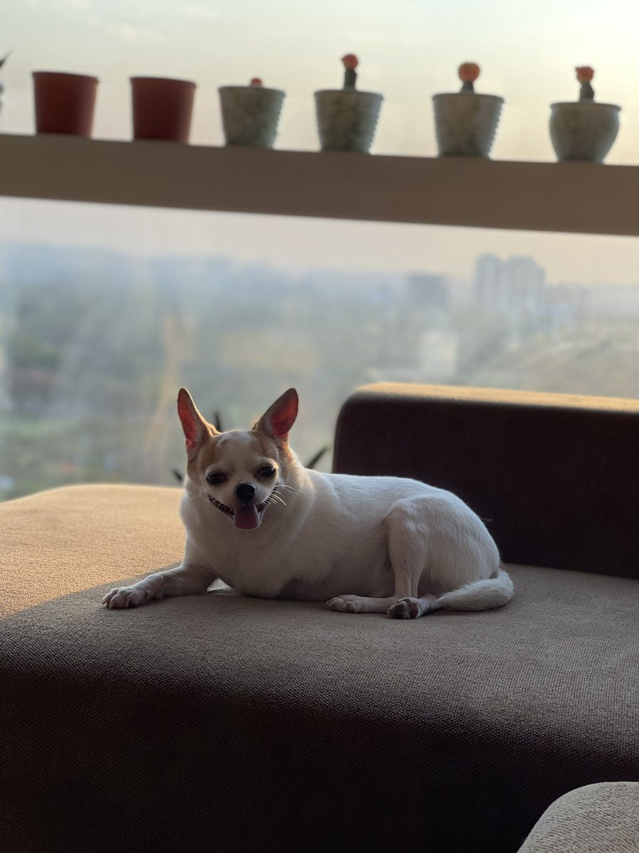 itzneenners's tweet photo. Missing my Henry https://t.co/kAFSY8tX4I