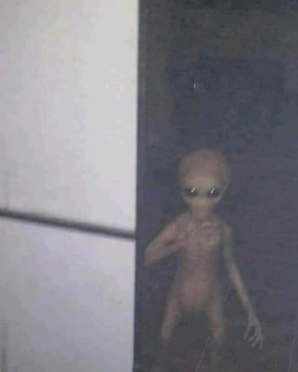 nelvaldez's tweet photo. 😨👽 En últimos días ha trascendido un supuesto extraterrestre fotografiado el 22 de septiembre de 2004 a las 10:45 pm  con una Kodak DX4530. La foto fue tomada por un guardia de seguridad en una oficina abandonada en #Rayones, #NuevoLeón. 

Según los lugareños la imagen es real, ustedes tienen la última opinión.

#ovni #ufo #alien #UAP