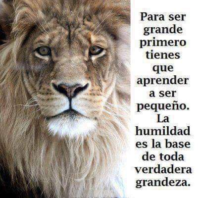 Cristina Lara (@cristinalarav76) on Twitter photo 