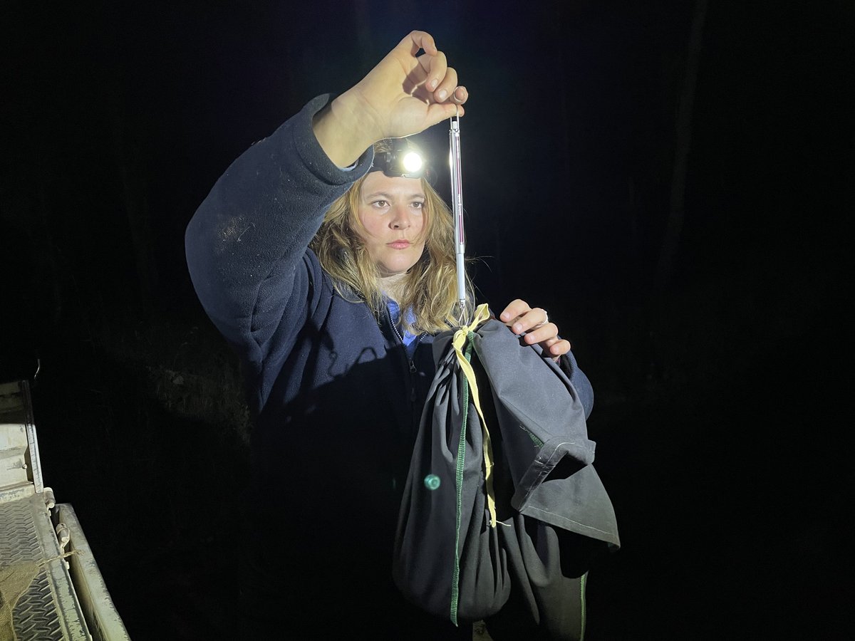 Australian Wildlife Conservancy tweet media