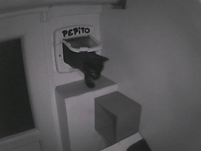 Pépito is back home (02:16:08)
