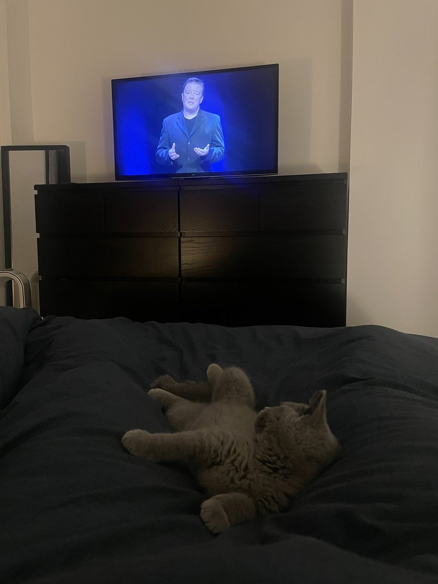 WelkeLaura's tweet photo. @rickygervais  Only 14 weeks old and already a big fan -little Margot https://t.co/CEogChlh06