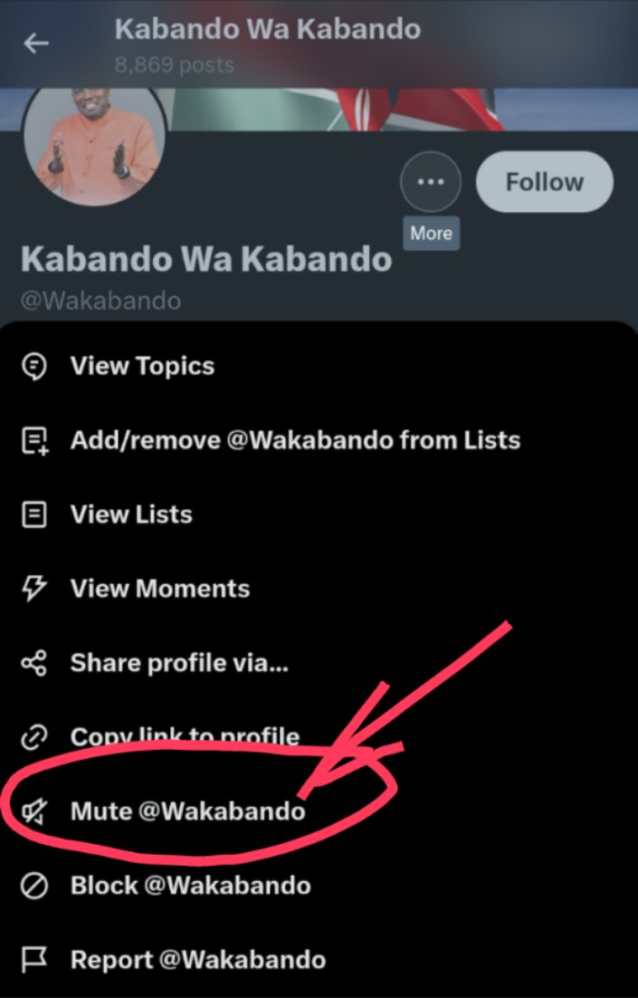 ithagu1's tweet photo. @Wakabando Lately I've adopted a very special button by twitter, of dealing with #Baseless, #Pointless, #Useless #PoliticalNoisemakers...

Just #Mute them..

😇😇😇😇

#Kabando adds no value at all in Kenyan politics.
Going down slowly.. https://t.co/2H25ly2sHv