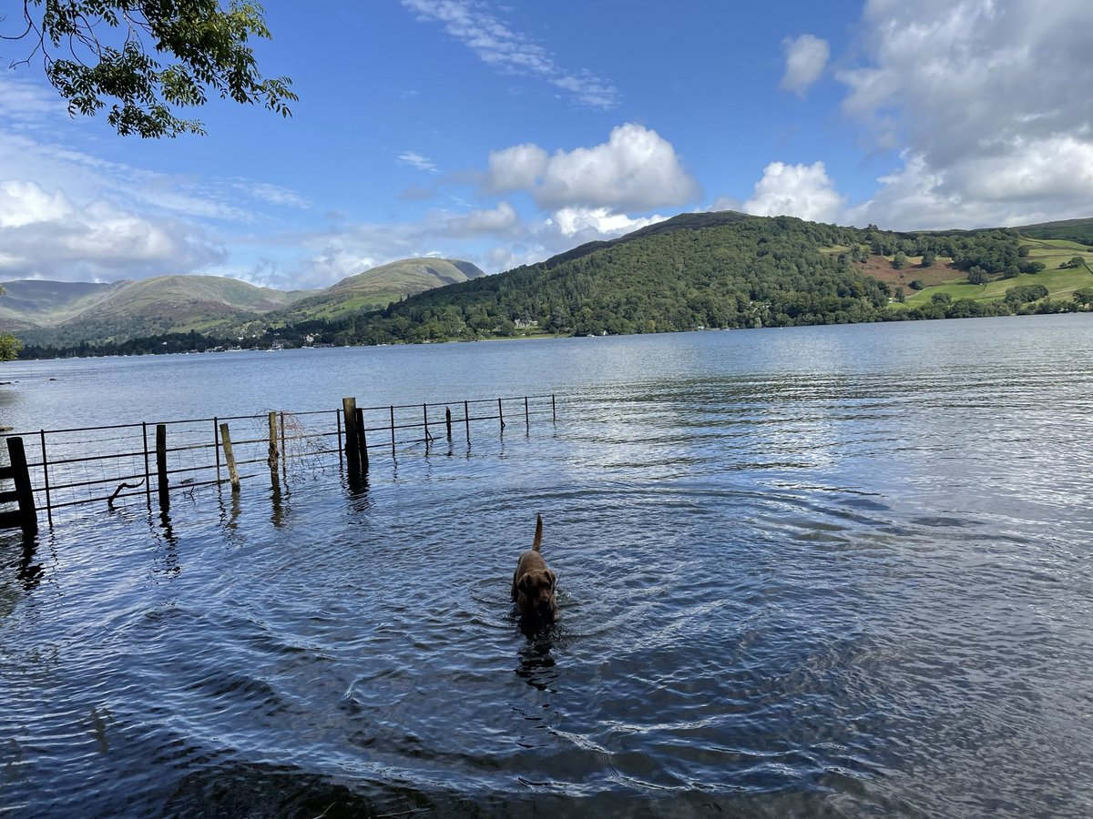 kmcgilchk's tweet photo. Loving life visiting our friends in the Lake District #cockador #bordercollie https://t.co/lolxrCPiJn