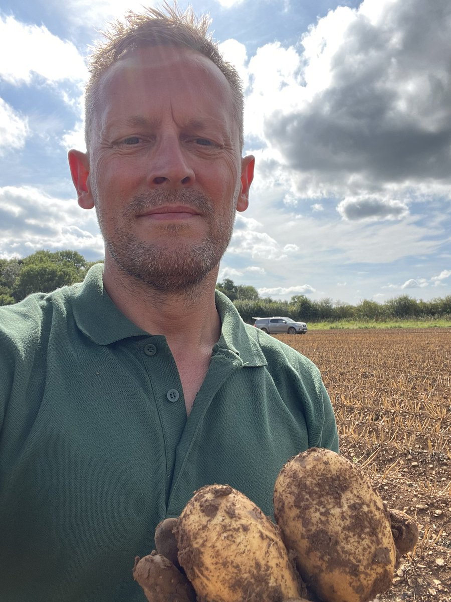 Branston Seed tweet media