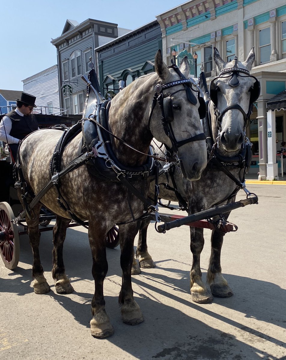 R_Wiles's tweet photo. There is no better place to end the summer then a trip to Mackinac Island and @GrandHotelMI . Thanks to @PAAM_83 for the hospitality and congratulations on a successful 96th Annual Conference &amp; Banquet. https://t.co/QPX0nwALwK