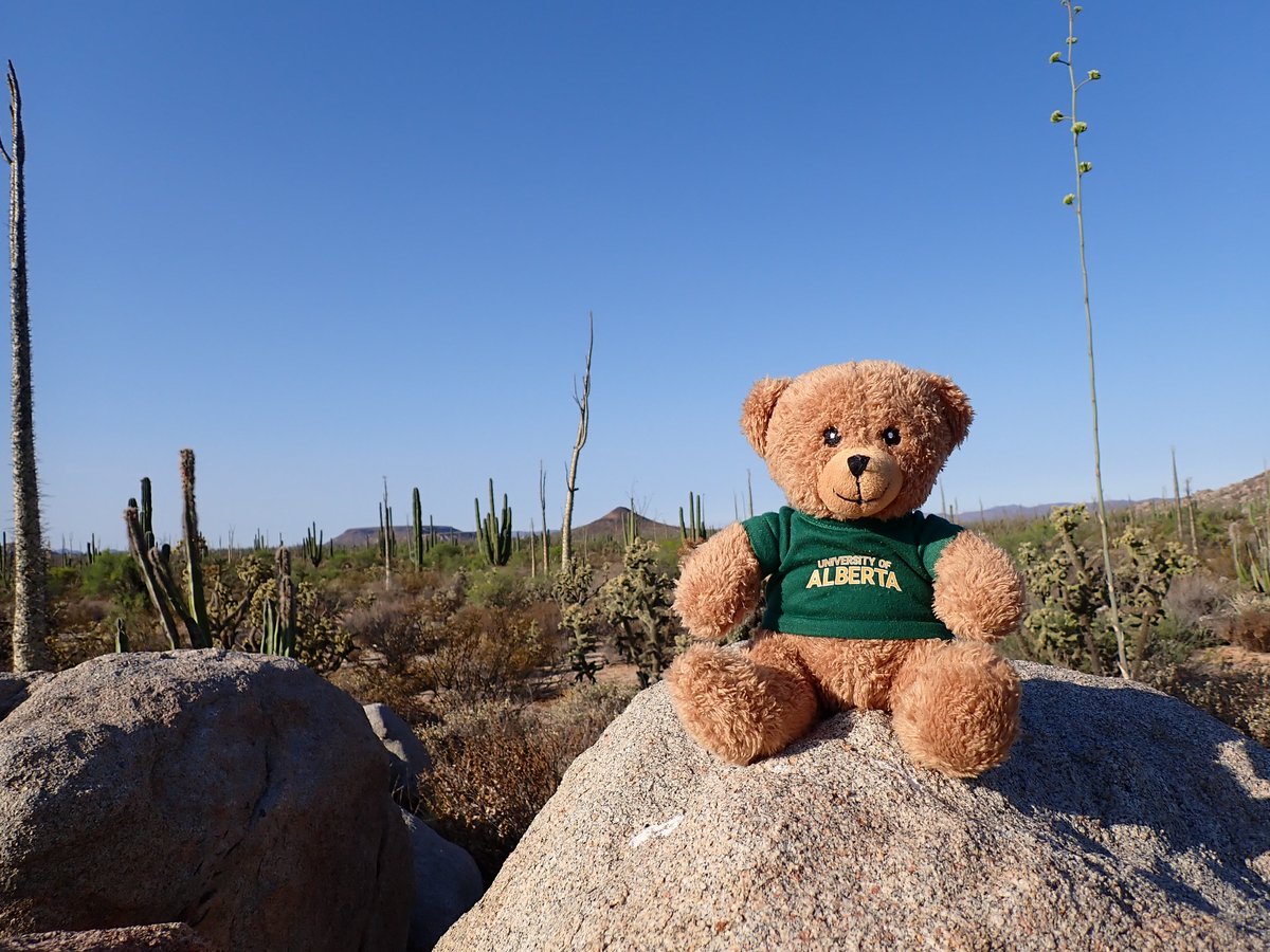 MarinaBanuet's tweet photo. A summary of Albert's trip during the #FiNHCC project 2023 expedition in Mexico @CCGHResearch @Sherilee_H @UAlbertaSPH https://t.co/TH8Mu6hIZW