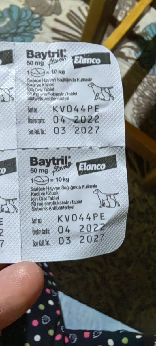 9kedi1kadin's tweet photo. Bu kedinin durumu iyi değil öksürüyor agzi yara  Köyde veteriner yok Şile de belediye veteriner yada özel var oraya götürmem lazım nakil için 600 tl istedi bulduğun kişi 5 gündür Baytril ve Asist kullanmama ragmen düzelmedi nakil ücreti yardımcı olan olursa Şile ye götüreceğim https://t.co/M39780zwxQ